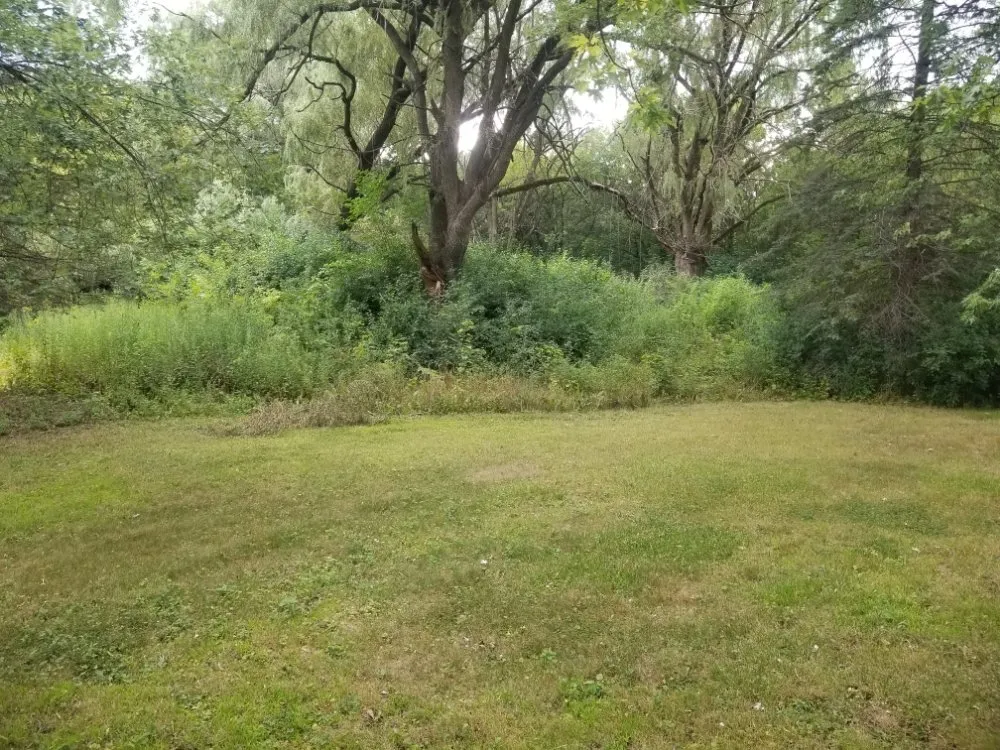 Slide of BFH Services