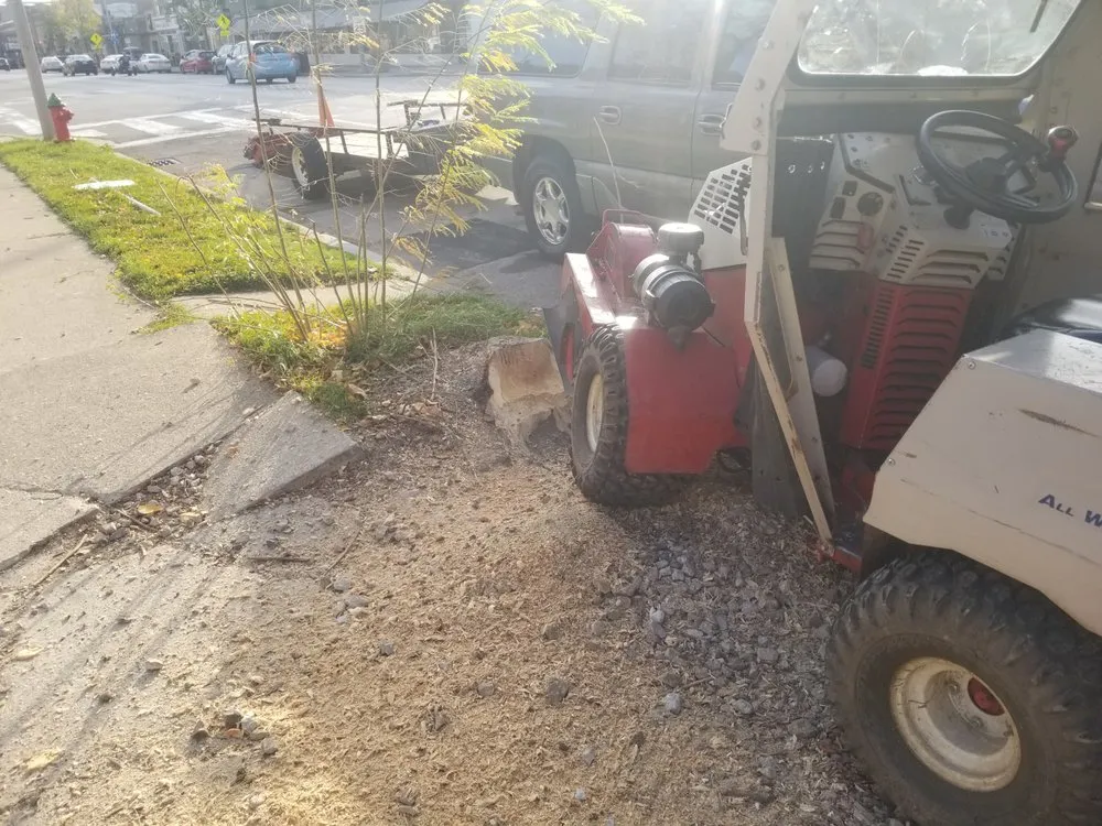 Slide of BFH Services