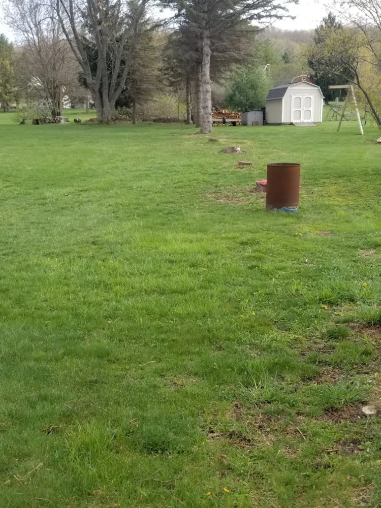 Slide of BFH Services