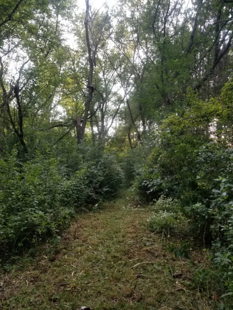 Slide of BFH Services