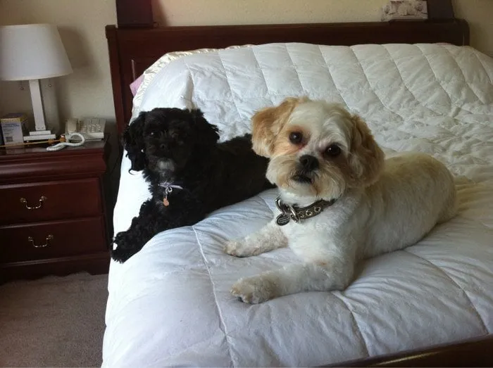 Slide of BFLO Plumbing and Rooter