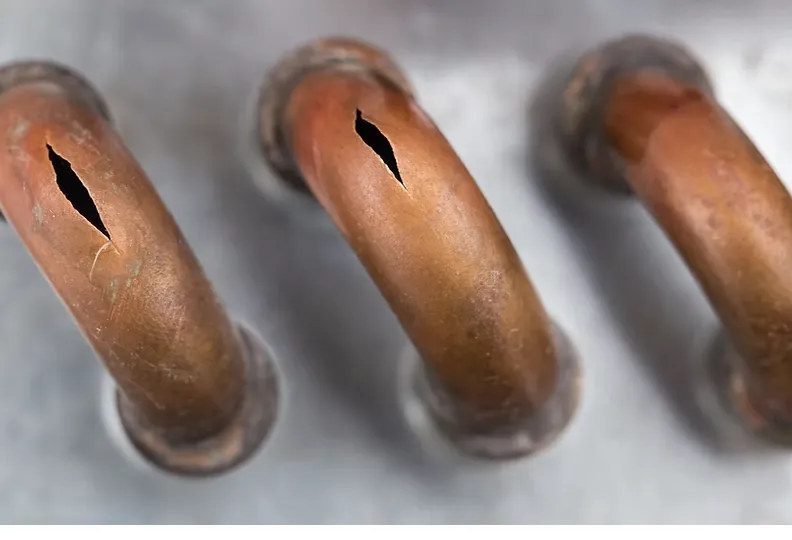 Slide of Big Beard Plumbing