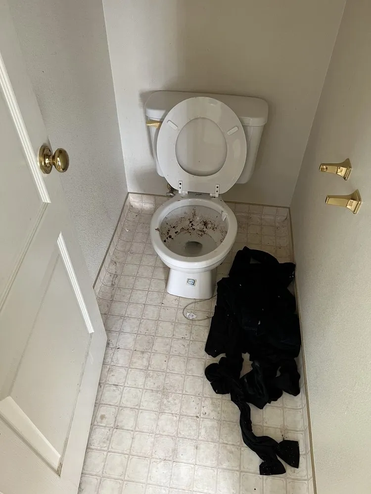 Slide of Big Boy Plumber