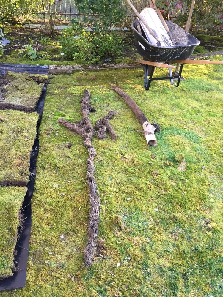 Slide of Big Brothers Plumbing