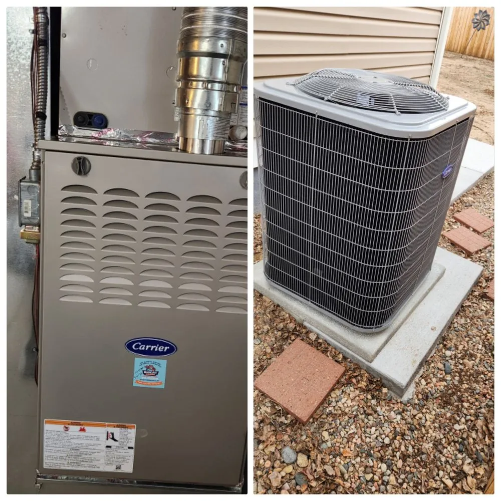 Slide of Big Cat - Colorado Springs