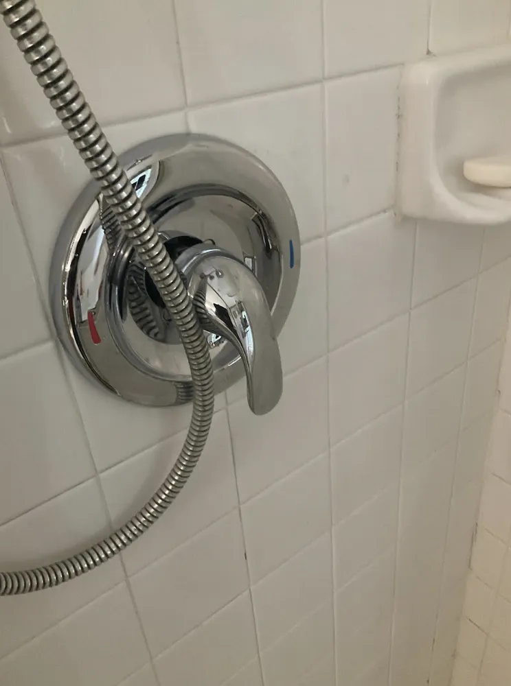 Slide of Big Dawg Plumbing