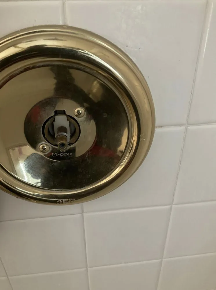 Slide of Big Dawg Plumbing