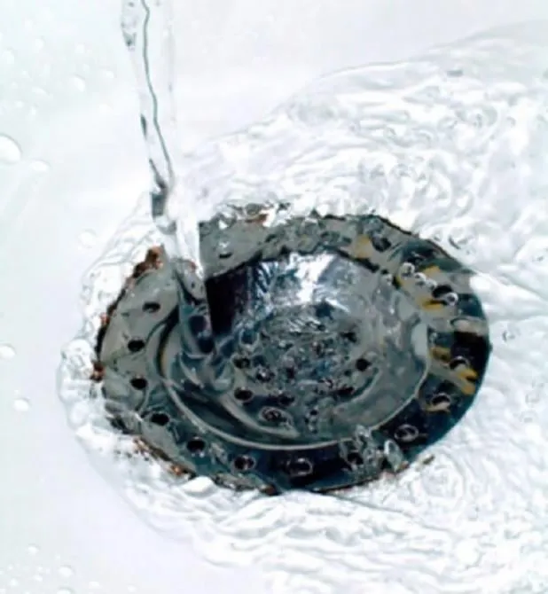 Slide of Big Dawg Plumbing