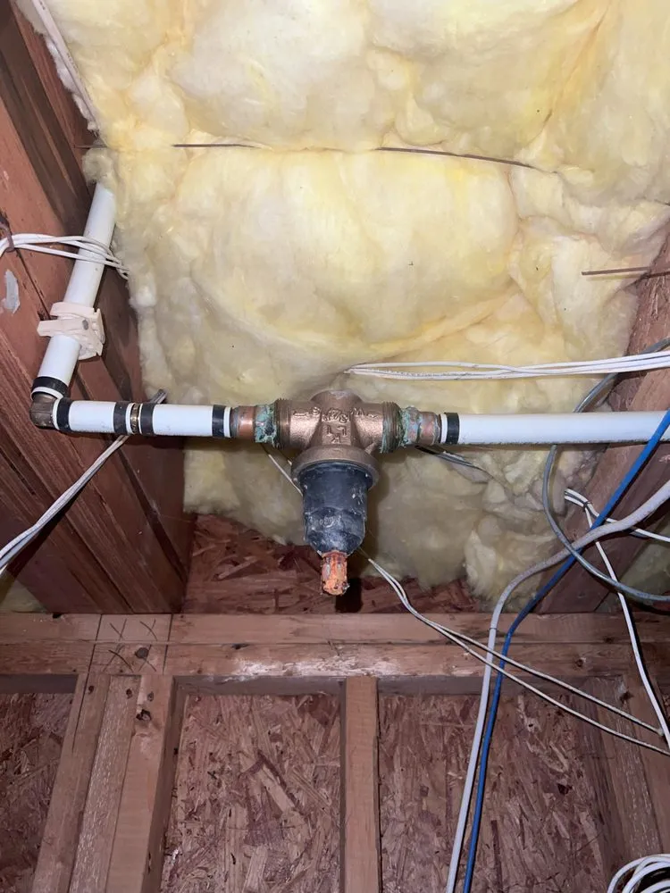 Slide of Big Dawg's Plumbing Services