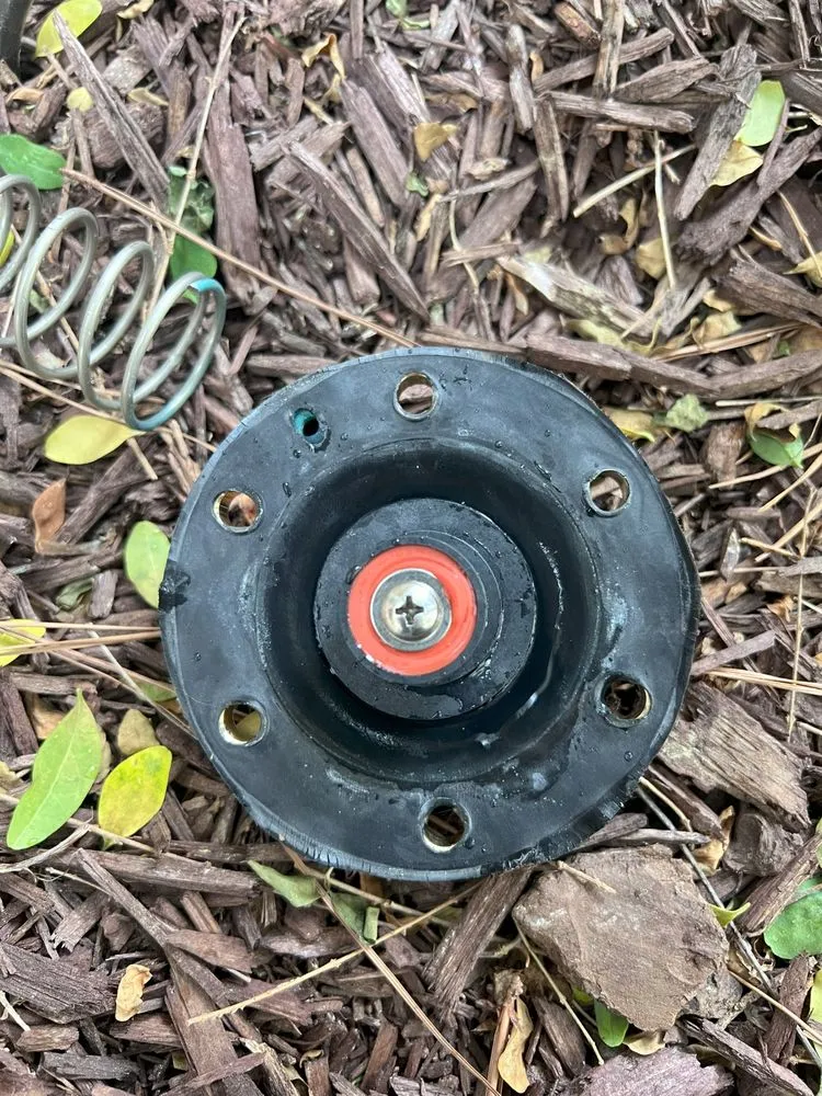 Slide of Big Dawg's Plumbing Services