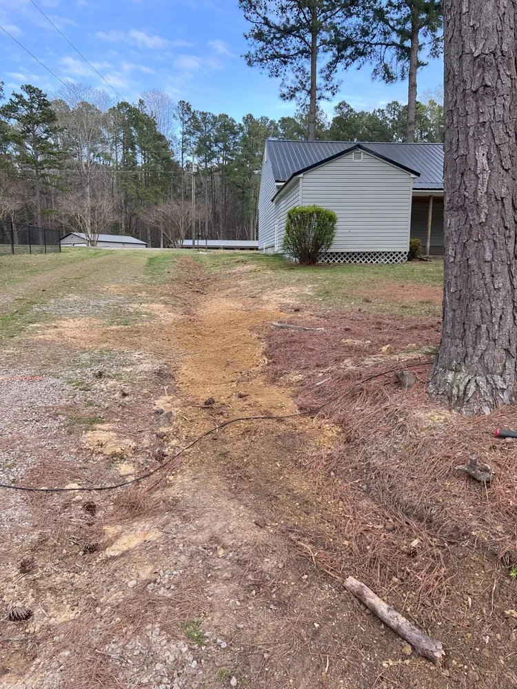 Slide of Big Dawg's Plumbing Services