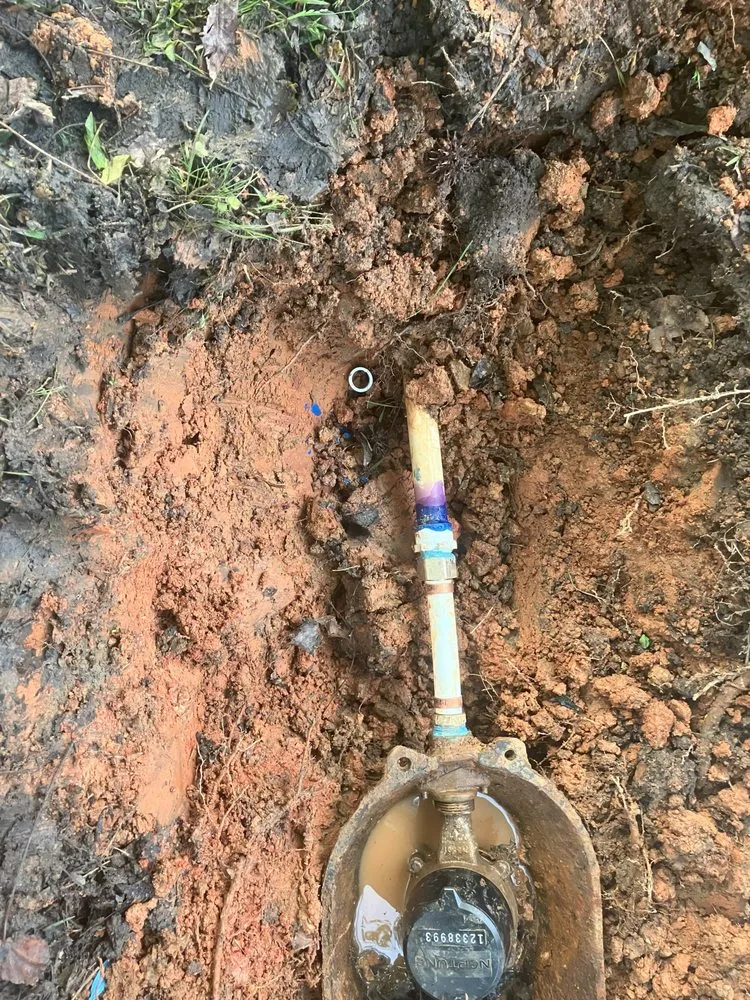 Slide of Big Dawg's Plumbing Services