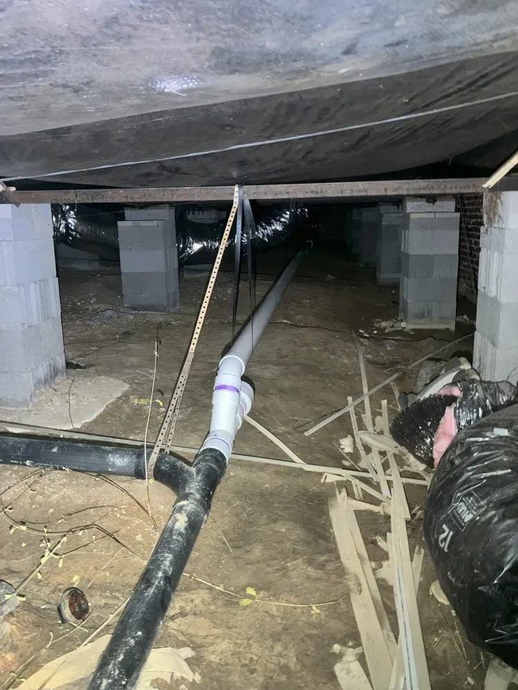 Top-rated pipe repair service in Raleigh, NC - Big Dawg's Plumbing Services