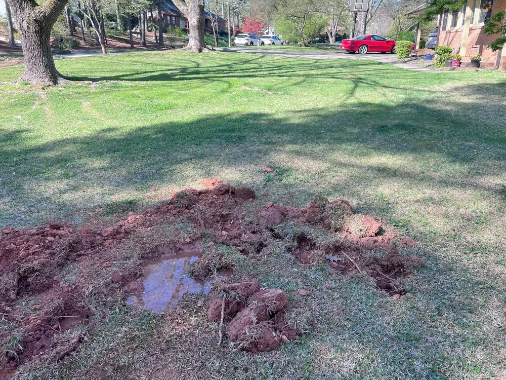 Expert water heater service in Raleigh, NC by Big Dawg's Plumbing Services