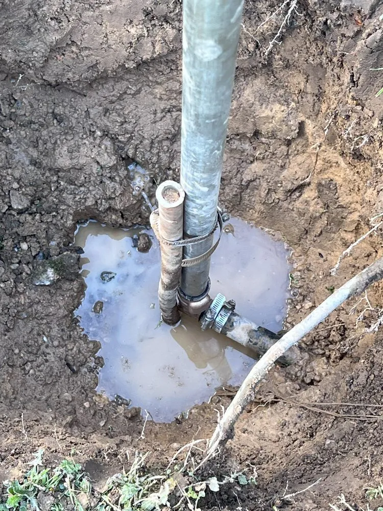 Slide of Big Dawg's Plumbing Services