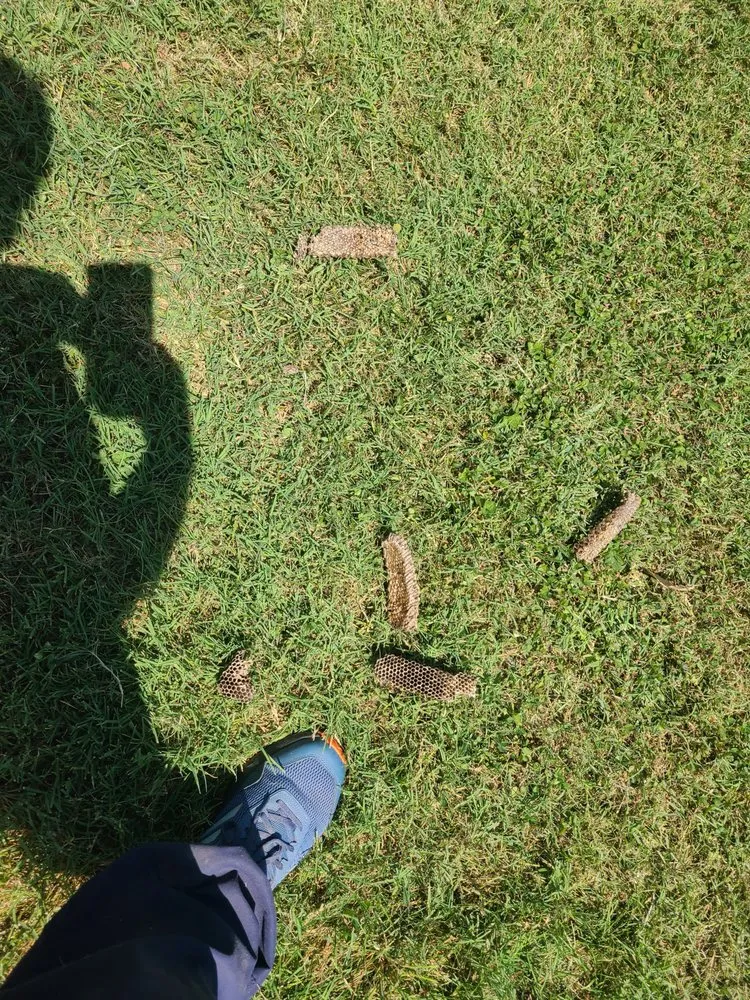 Slide of Big D's Property Maintenance