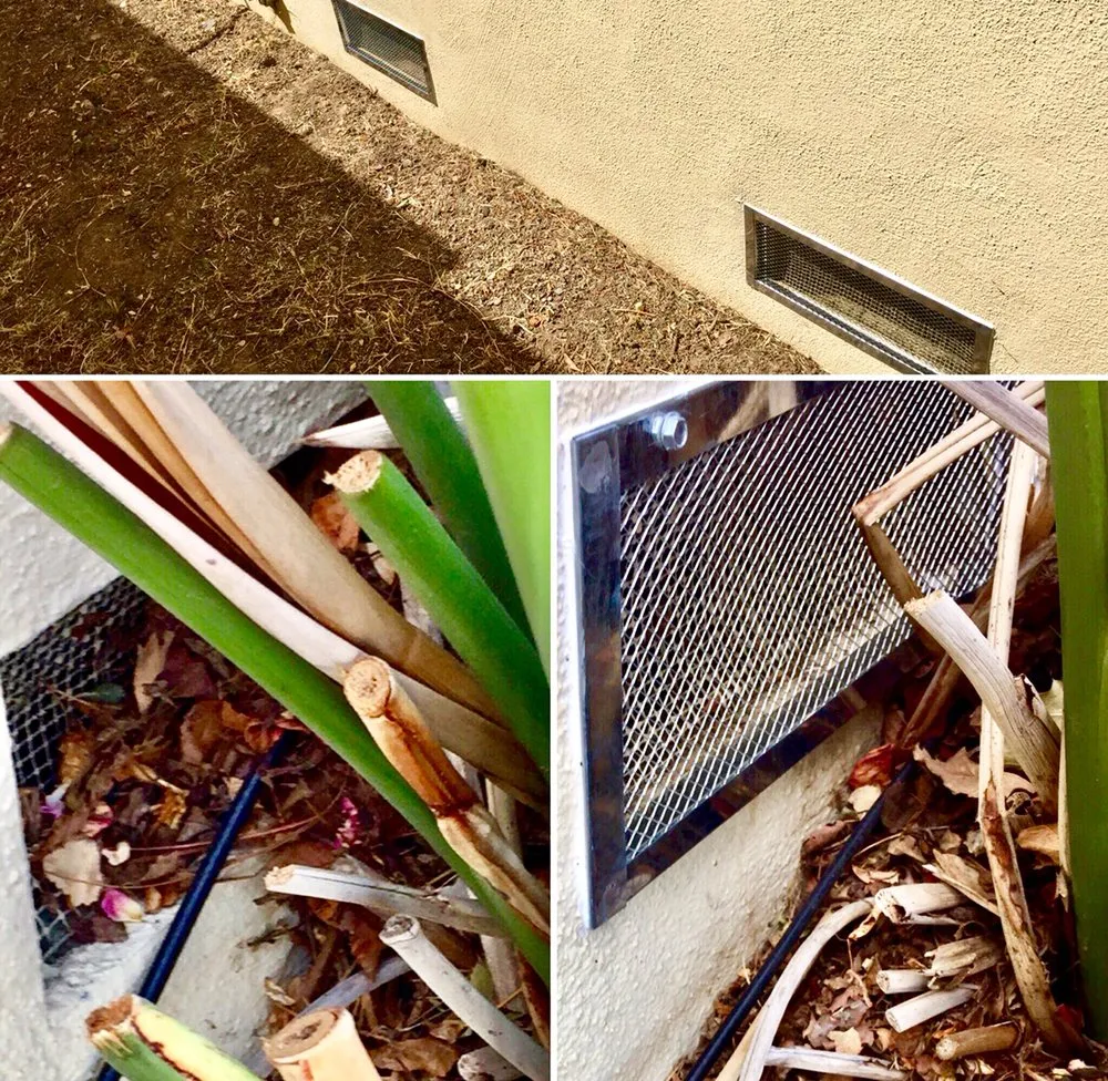 Slide of Big Ed The Handy Man