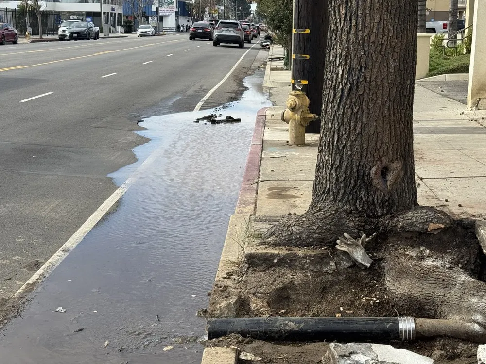 Slide of Big Flow Drain