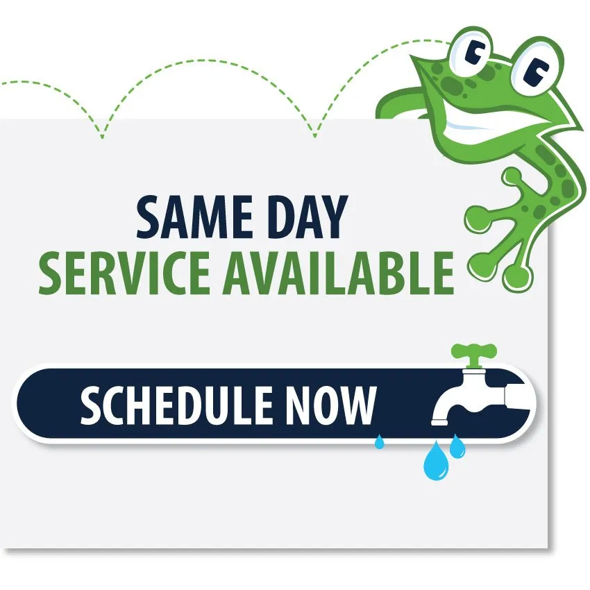 Slide of Big Frog Plumbing