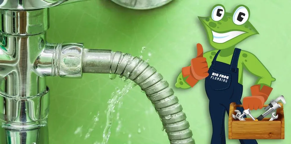 Slide of Big Frog Plumbing