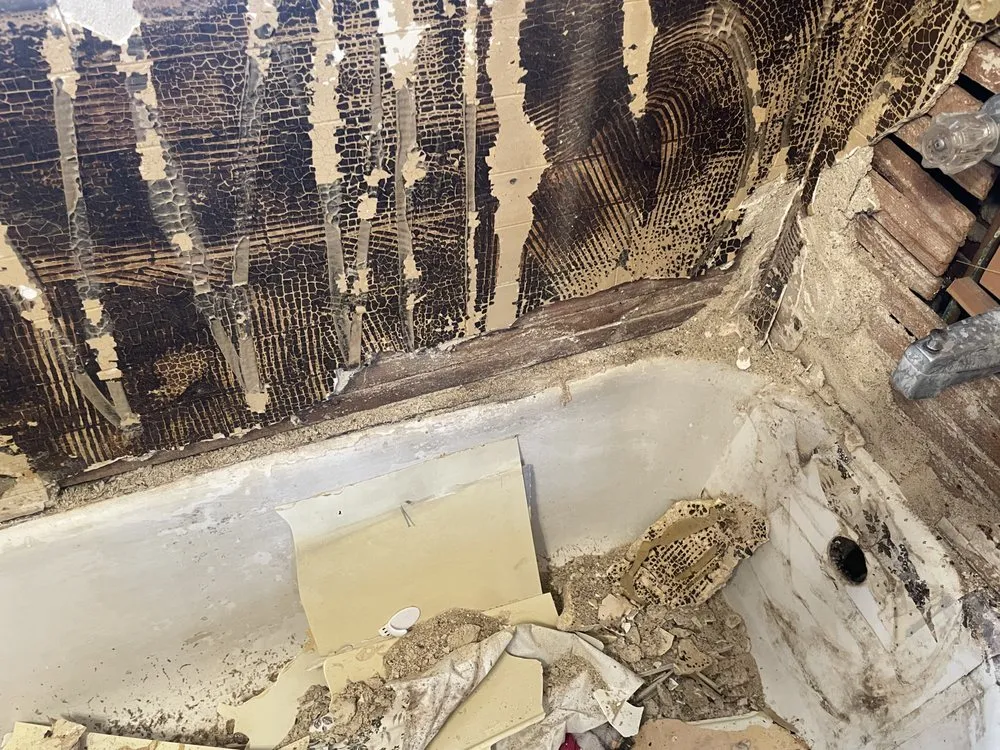 Slide of Big Mo’s Home Improvements