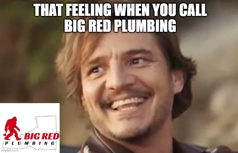 Slide of Big Red Plumbing