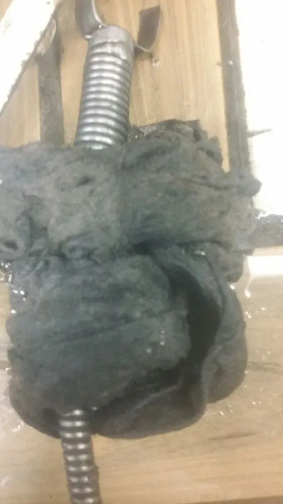 Slide of Big Red Rooter