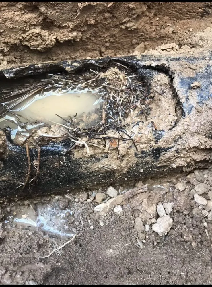 Slide of Big Show Plumbing