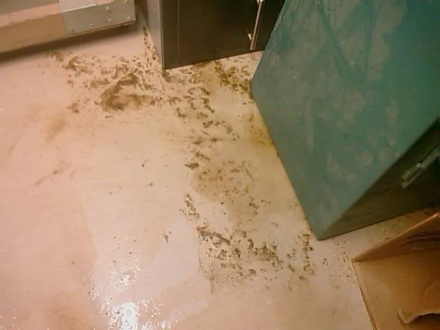 Slide of Big Tom's Plumbing & Drain