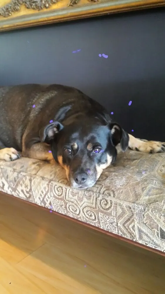 Slide of Big Tuna Plumbing