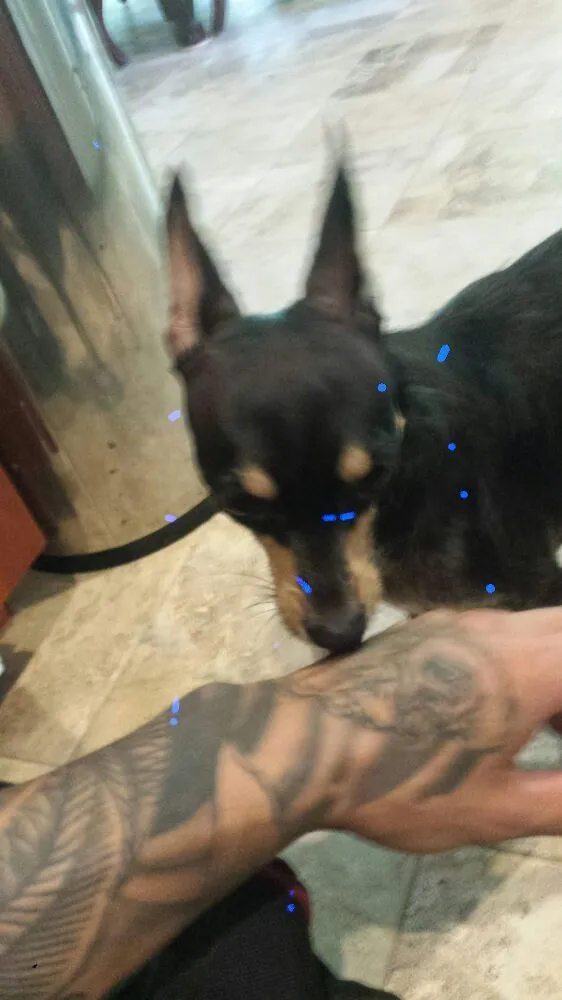 Slide of Big Tuna Plumbing