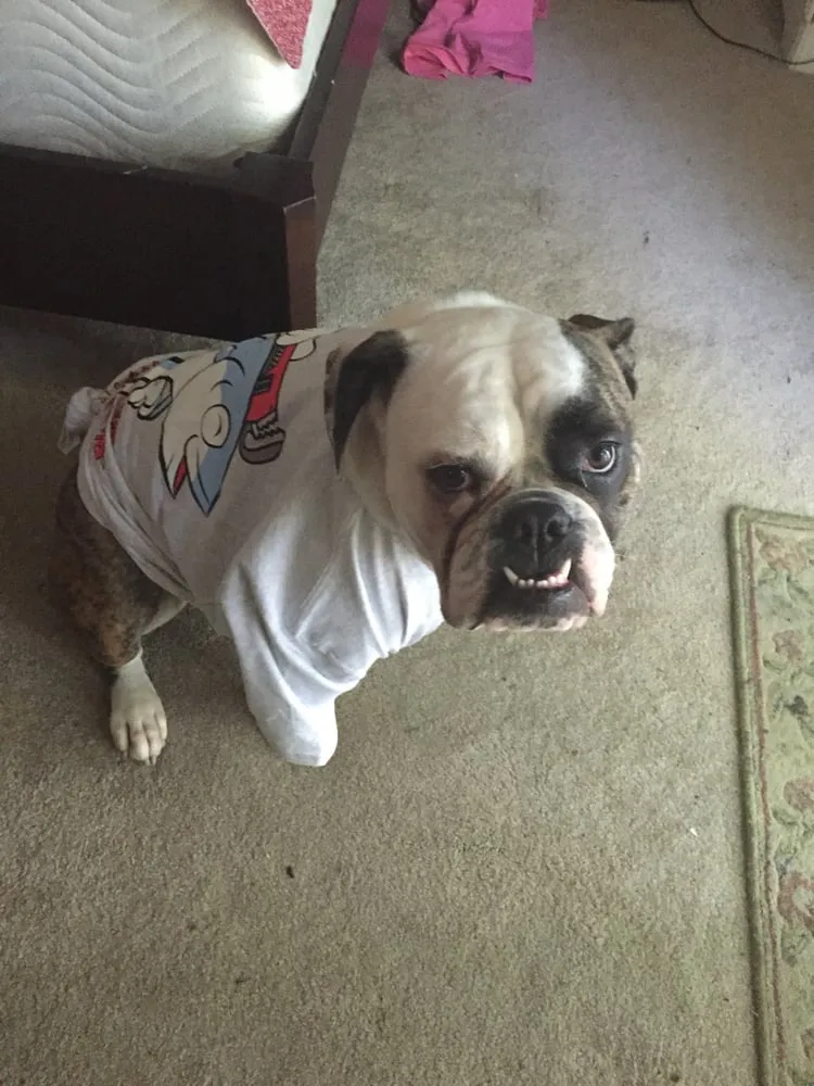 Slide of Big Tuna Plumbing