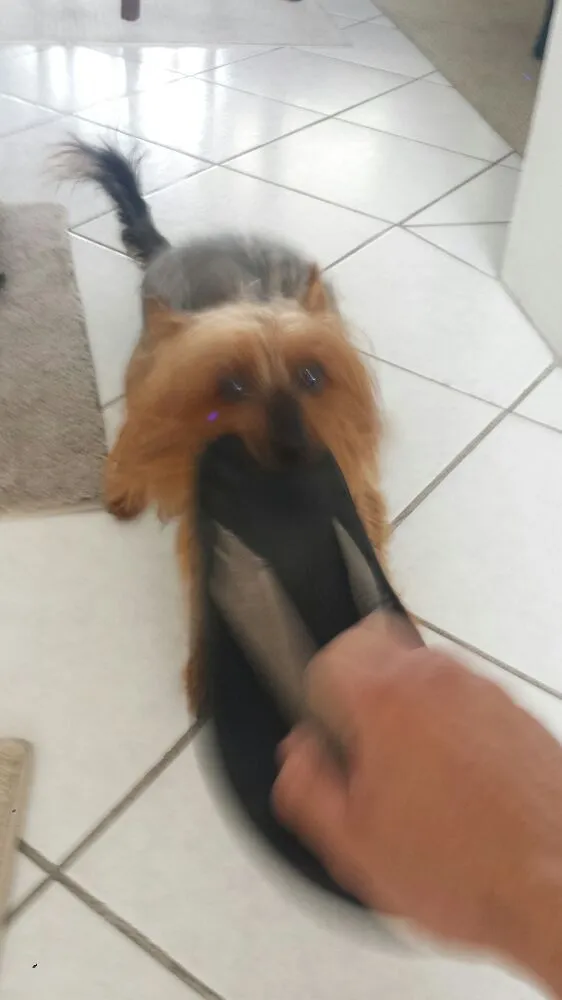 Slide of Big Tuna Plumbing