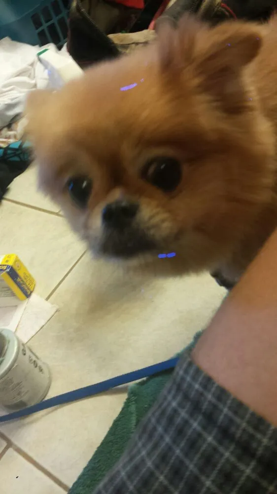 Slide of Big Tuna Plumbing