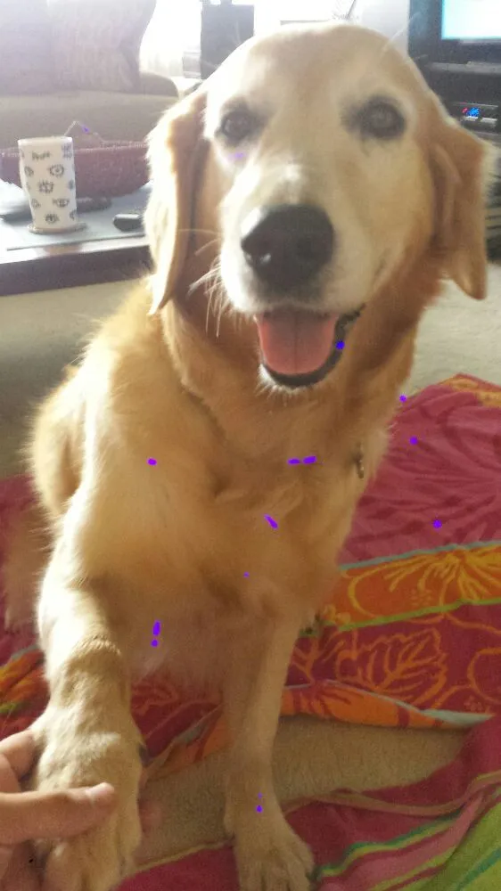 Slide of Big Tuna Plumbing