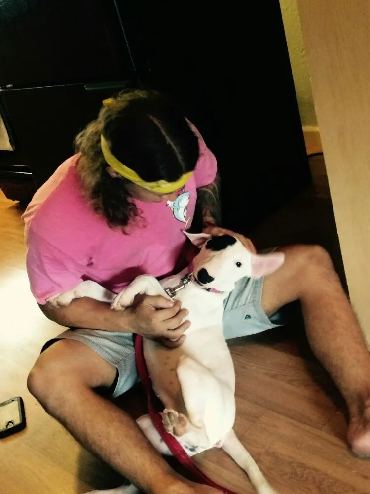 Slide of Big Tuna Plumbing