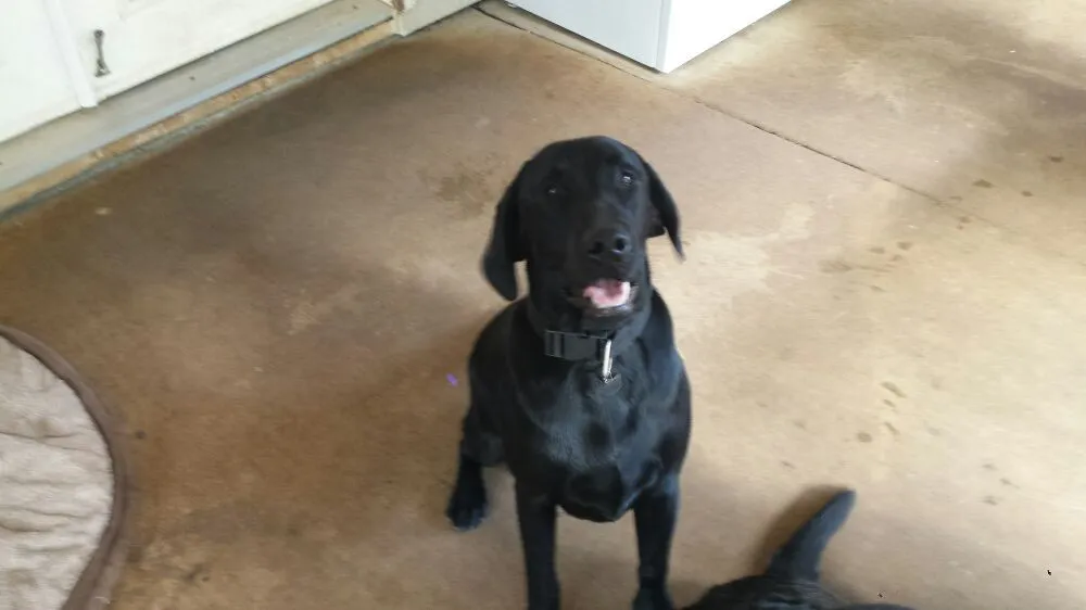 Slide of Big Tuna Plumbing