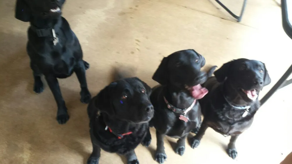 Slide of Big Tuna Plumbing