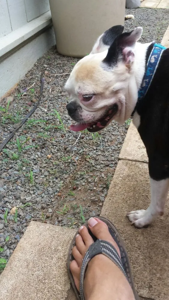 Slide of Big Tuna Plumbing