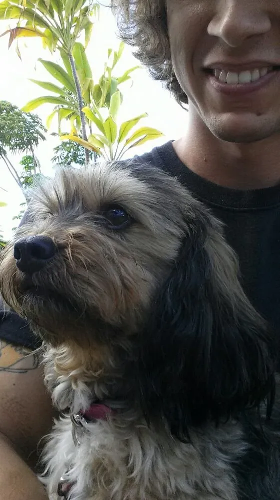 Slide of Big Tuna Plumbing