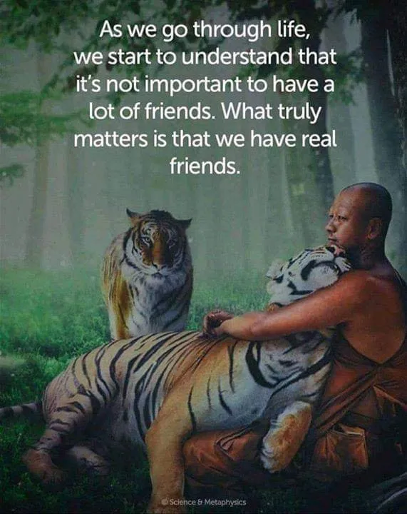 Slide of Bigbear plumbing dba