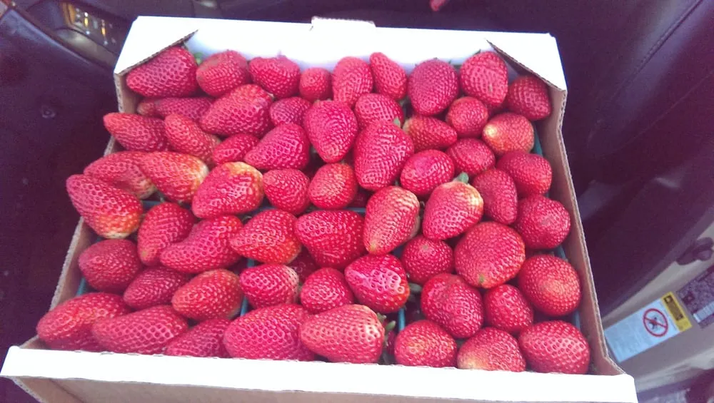 Quality emergency plumbing experts serving Gilroy, CA - Bigbear plumbing dba