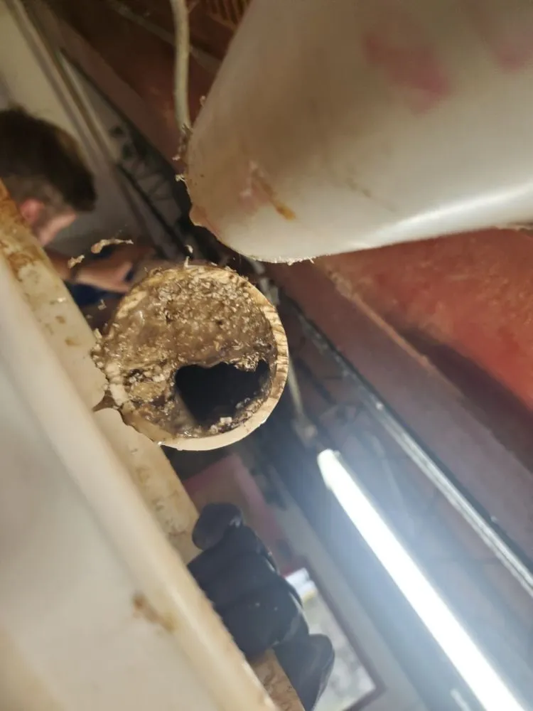 Slide of Bigdawg Drain Cleaning and Repair