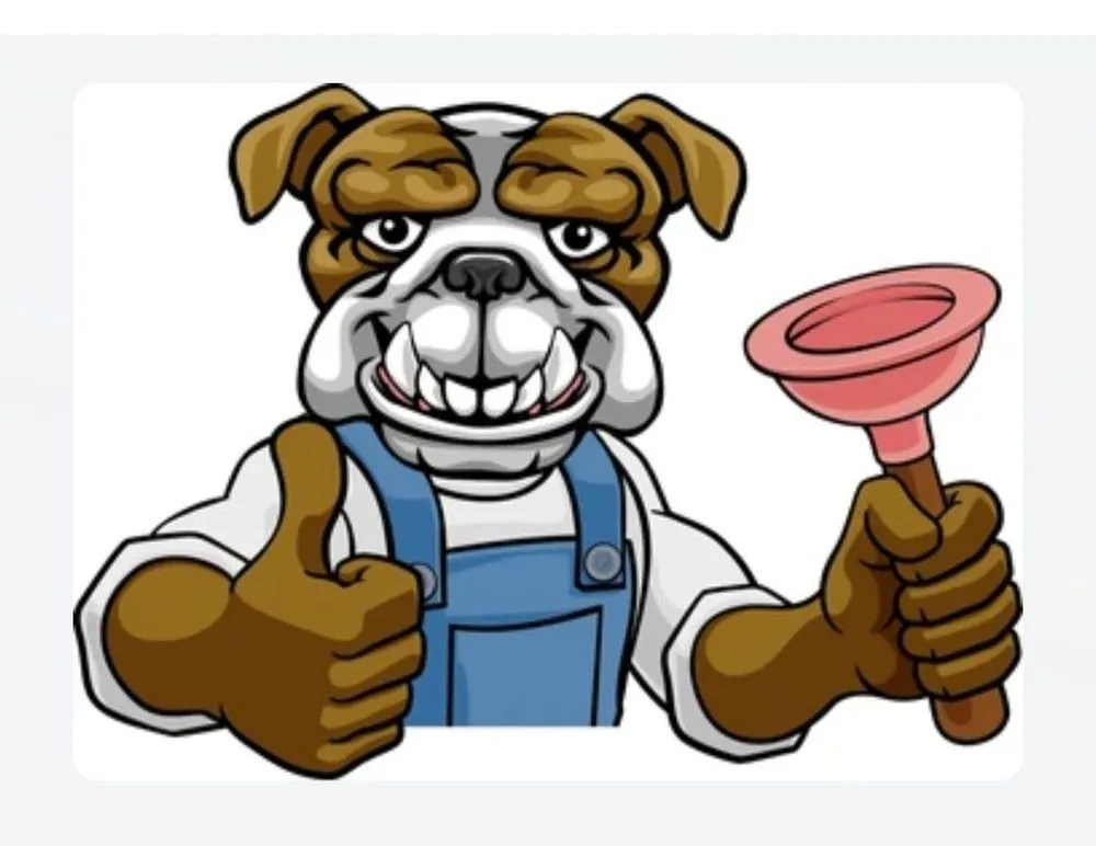 Slide of Bigdawg Drain Cleaning and Repair