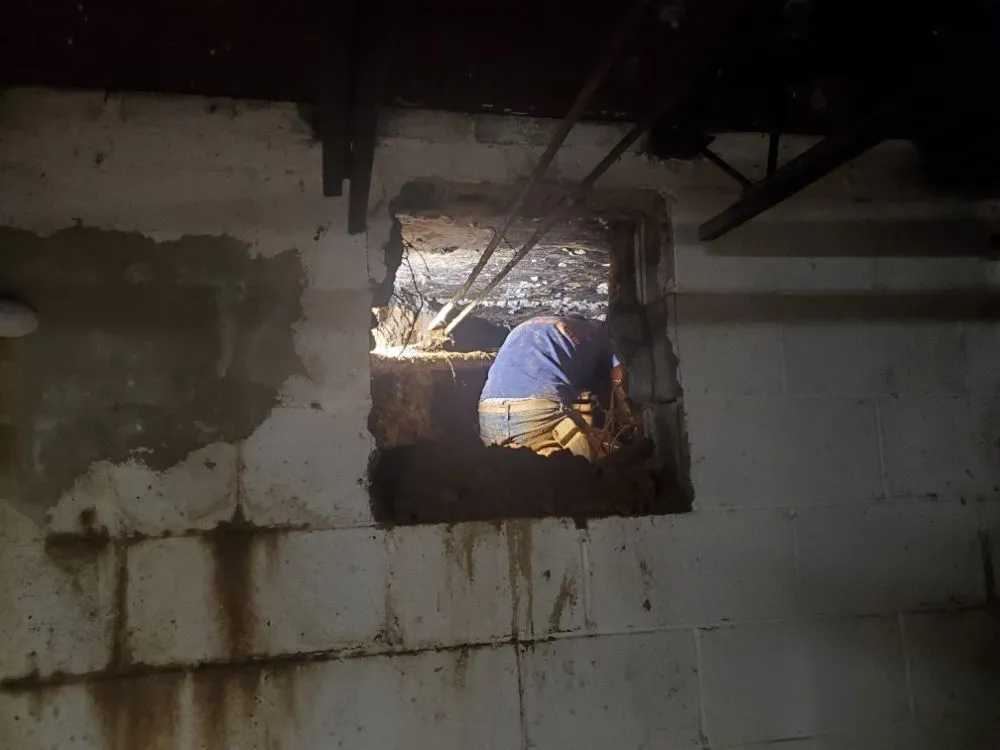 Emergency emergency plumbing service in Hickory, NC - Bigdawg Drain Cleaning and Repair