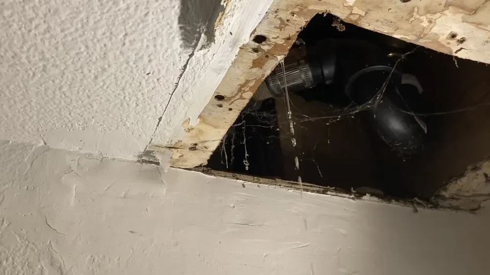 Slide of Bigg Tree Rooter & Plumbing