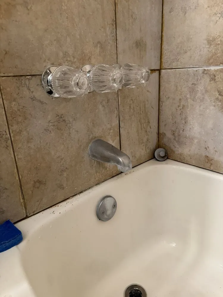 Slide of Bigg Tree Rooter & Plumbing