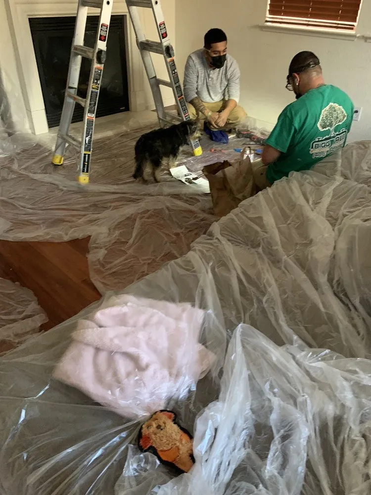 Slide of Bigg Tree Rooter & Plumbing