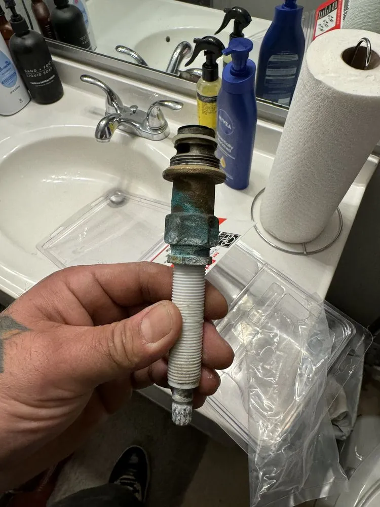 Affordable drain cleaning service in Santa Clarita, CA - Bigg Tree Rooter & Plumbing