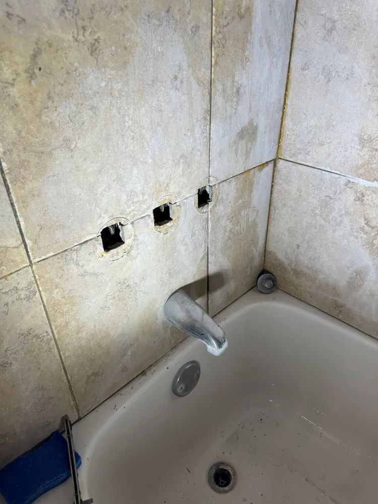 Slide of Bigg Tree Rooter & Plumbing